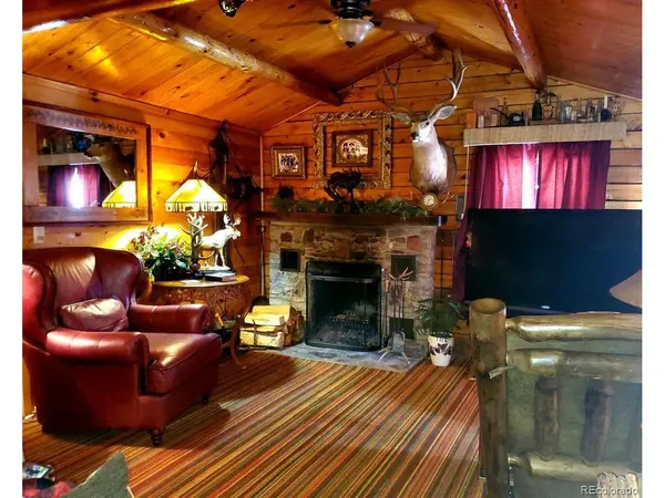 22585 County Road 292, Nathrop, CO 81236
