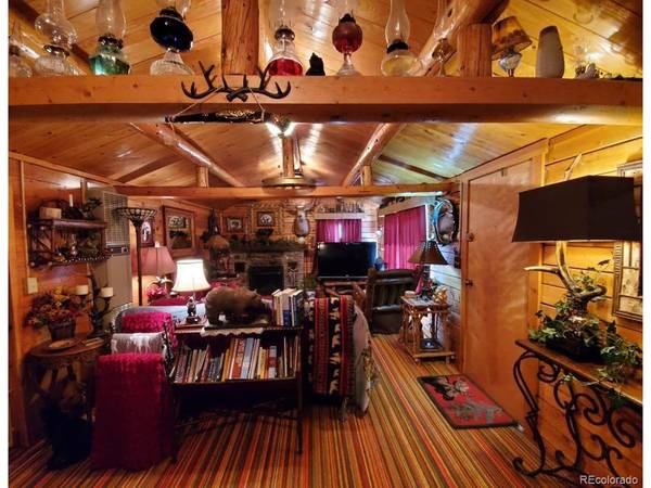 22585 County Road 292, Nathrop, CO 81236