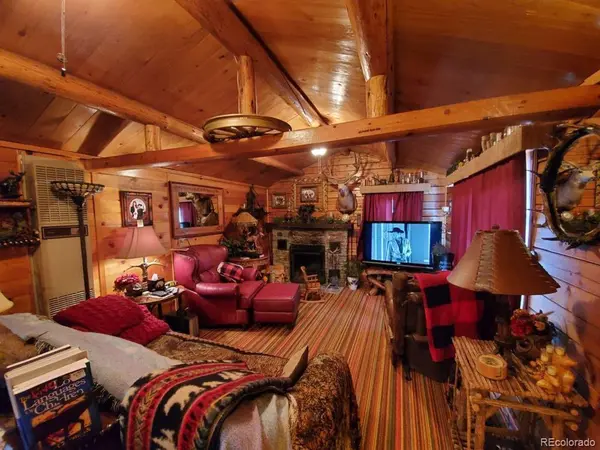 22585 County Road 292, Nathrop, CO 81236