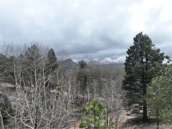 255 Pinon, Florissant, CO 80816