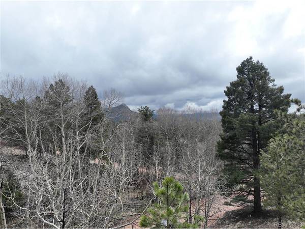 255 Pinon, Florissant, CO 80816