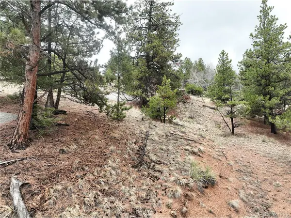 255 Pinon, Florissant, CO 80816