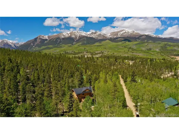 834 Lodge Pole, Leadville, CO 80461