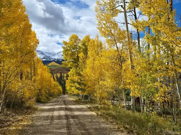 834 Lodge Pole, Leadville, CO 80461