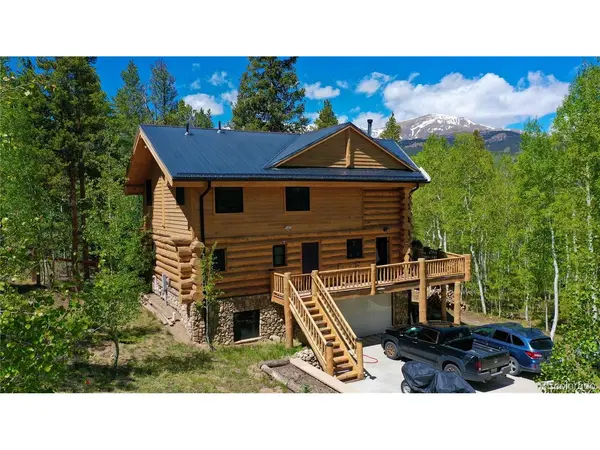 834 Lodge Pole, Leadville, CO 80461
