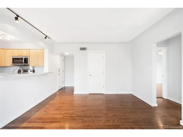 636 N Washington #301, Denver, CO 80203