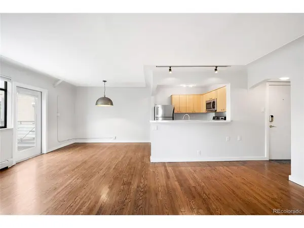 636 N Washington #301, Denver, CO 80203