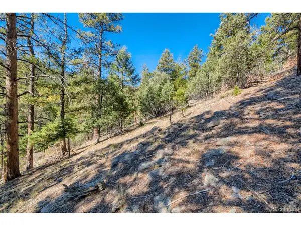 Elsie, Conifer, CO 80433