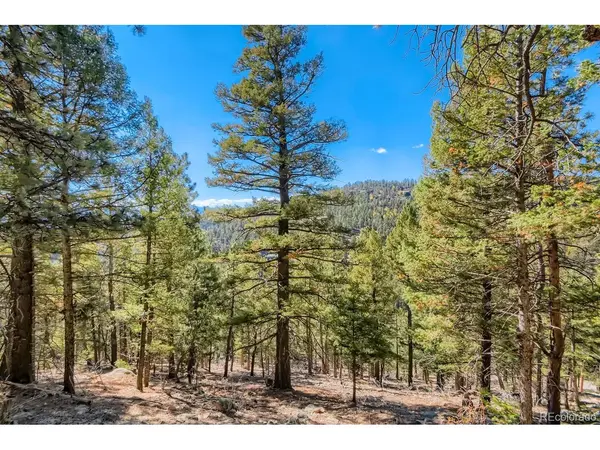 Elsie, Conifer, CO 80433