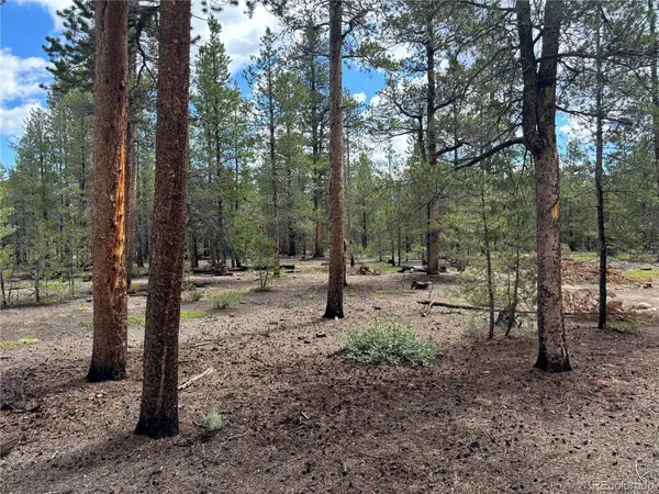 399 Fir, Twin Lakes, CO 80461