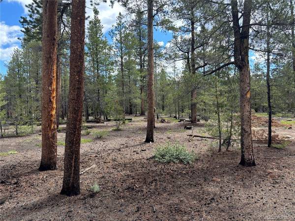 399 Fir, Twin Lakes, CO 80461