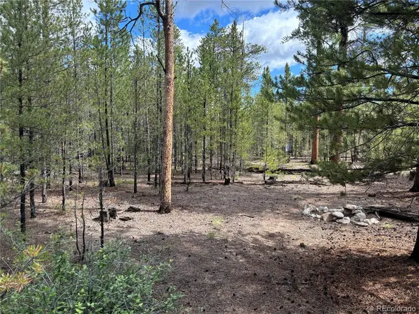 399 Fir, Twin Lakes, CO 80461