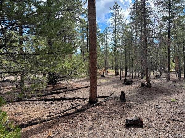 399 Fir, Twin Lakes, CO 80461