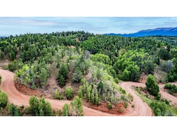 1693 Golden Cycle, Cripple Creek, CO 80813