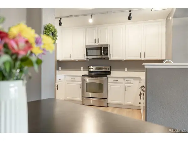 431 Black Feather #811, Castle Rock, CO 80104