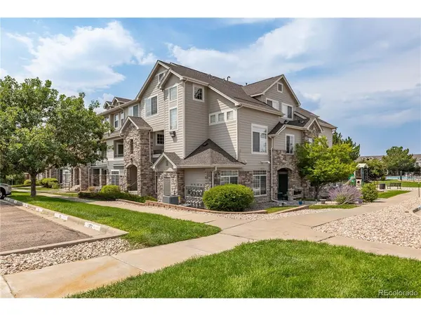 431 Black Feather #811, Castle Rock, CO 80104