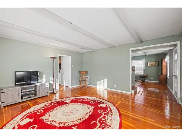 1608 Mount Massive, Leadville, CO 80461