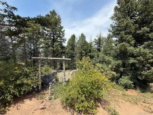 3546 N Mountain Estates, Florissant, CO 80816