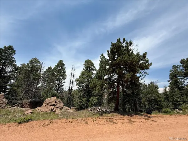 3546 N Mountain Estates, Florissant, CO 80816
