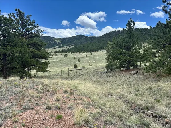 Address not disclosed, Guffey, CO 80820