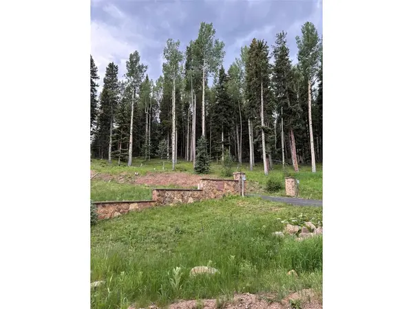 28651 Belle Point, Conifer, CO 80433