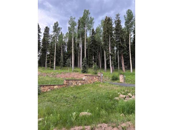28651 Belle Point, Conifer, CO 80433
