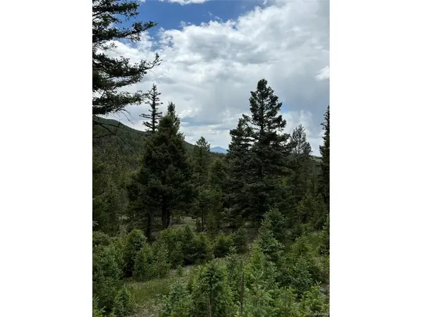 28651 Belle Point, Conifer, CO 80433