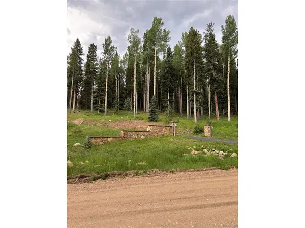 28651 Belle Point, Conifer, CO 80433