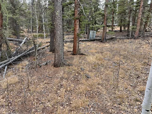210 Tepee, Como, CO 80432