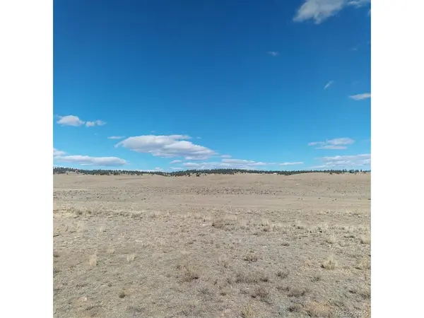3552 Ute, Hartsel, CO 80449