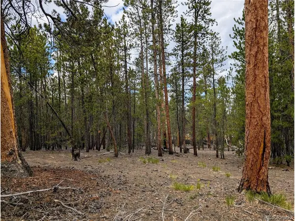 1073 Sequoia, Twin Lakes, CO 81251
