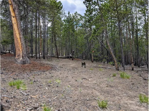 1073 Sequoia, Twin Lakes, CO 81251