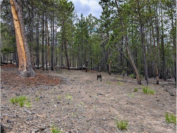 1073 Sequoia, Twin Lakes, CO 81251
