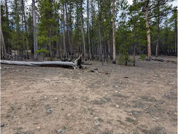 1073 Sequoia, Twin Lakes, CO 81251