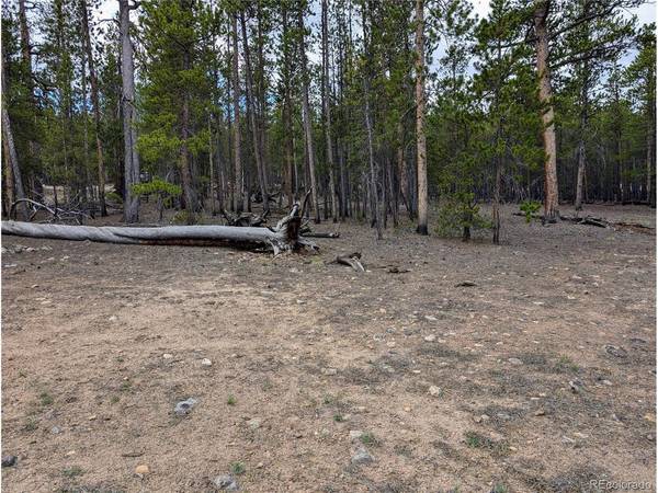 1073 Sequoia, Twin Lakes, CO 81251