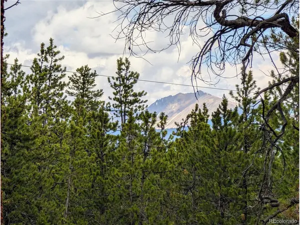 1073 Sequoia, Twin Lakes, CO 81251