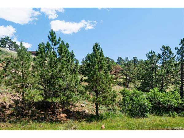 7137 Oak Valley, Colorado Springs, CO 80919