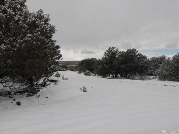 2119 Oriole Overlook, Crestone, CO 81131