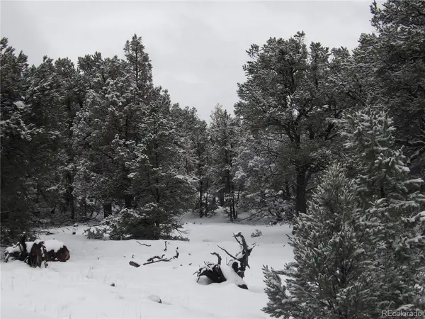 2119 Oriole Overlook, Crestone, CO 81131