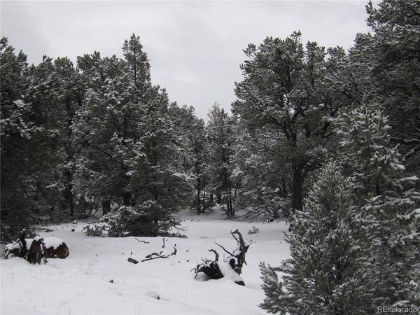 2119 Oriole Overlook, Crestone, CO 81131