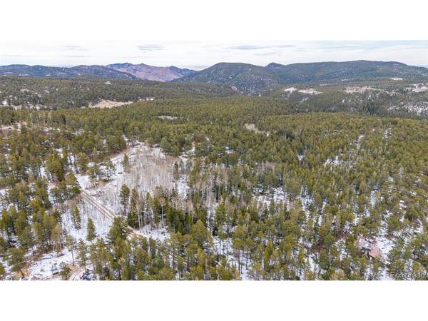190 Hard Way, Ward, CO 80481