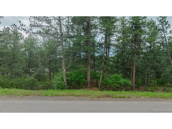 648 Copper Fox, Larkspur, CO 80118