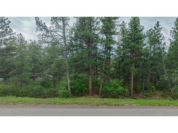 648 Copper Fox, Larkspur, CO 80118