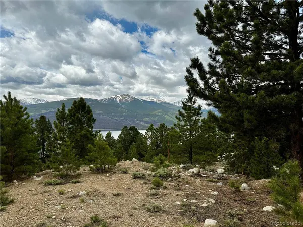 9 Mount Hope, Twin Lakes, CO 81251
