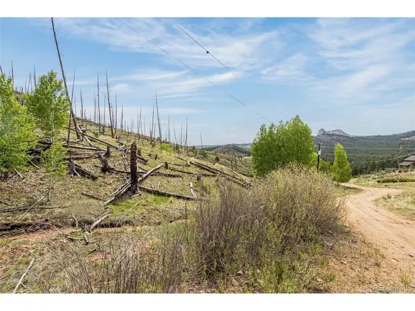1 Columbine, Woodland Park, CO 80863