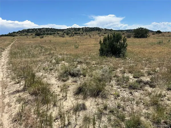17 Longhorn Ranch, Model, CO 81059