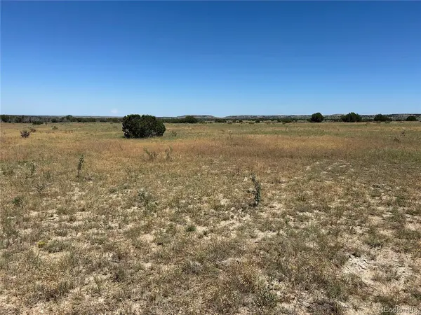 17 Longhorn Ranch, Model, CO 81059