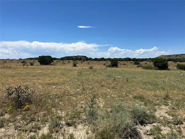 17 Longhorn Ranch, Model, CO 81059