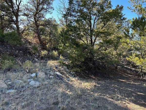 124 Indian Hill, Mosca, CO 81146