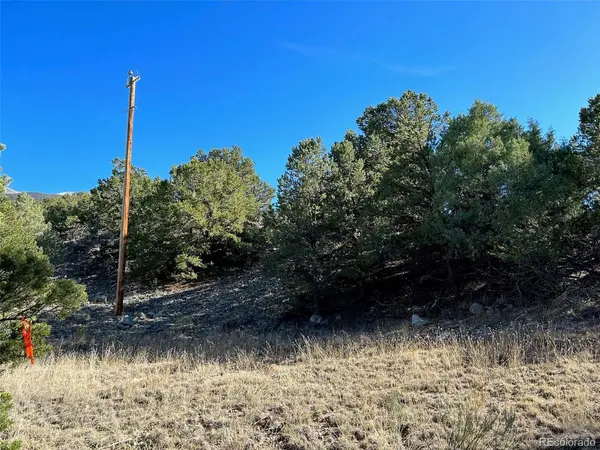 124 Indian Hill, Mosca, CO 81146